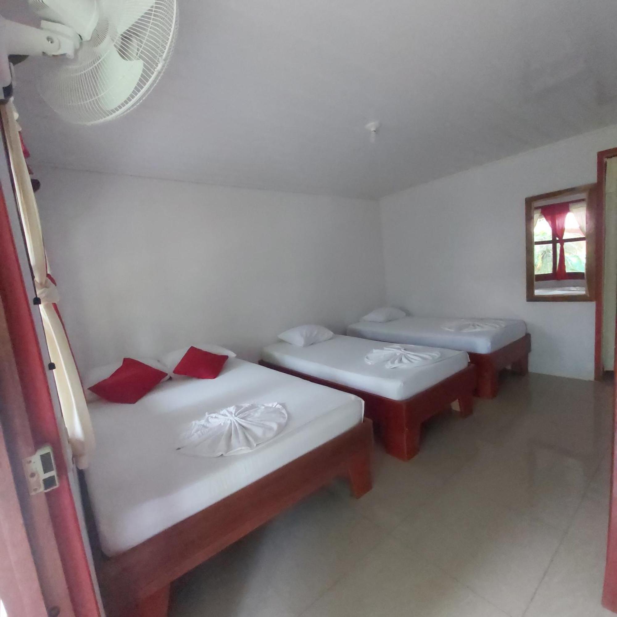 Cabanas Daneysha Tortuguero Cameră foto