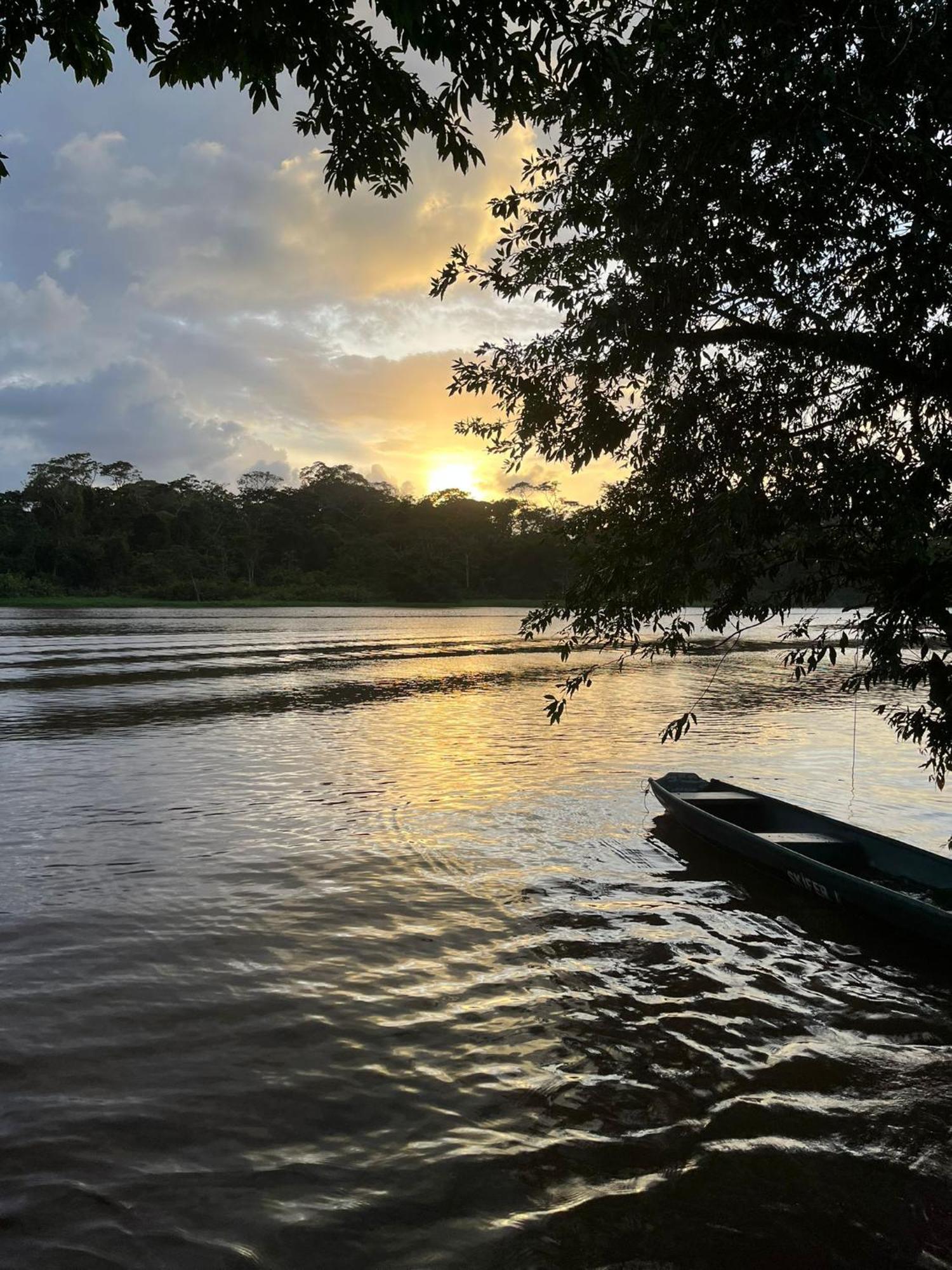 Cabanas Daneysha Tortuguero Cameră foto